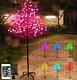 128 Led Cherry Blossom Lighted Tree Color Changing Artificial Flower Bonsai Tree