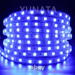 220V 240V LED Strip Lights Dimmable 5050 RGB Lamp Flex Rope Light Color Changing