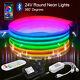 24v Rgb Pixel Led Neon Strip Lights Ws2811 Flex Rope Lamp Bluetooth Wifi Control