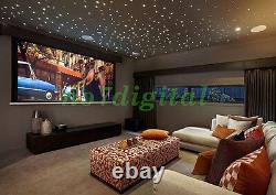 DIY twinkle star fiber optic light led APP control 600stars ceiling fairy light