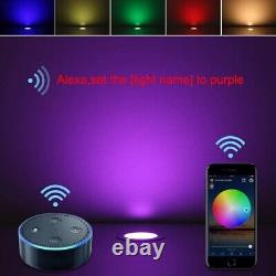 Decking Lights RGBW 31mm 12V Bluetooth App Colour Changing & White 30 Pack