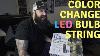 Feit Color Changing Led String Bulb Review Costco Buy