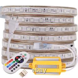 LED Strip 220V 240V 5050 IP65 Waterproof Tape Rope Lights +1500W IR Controller