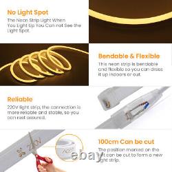 LED Strip Neon Flex Rope Light Waterproof 220V Flexible Outdoor Lighting Kit DE