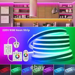 LED Strip Neon Light RGB Colour Changing Tape Waterproof 220V Outdoor Lighting