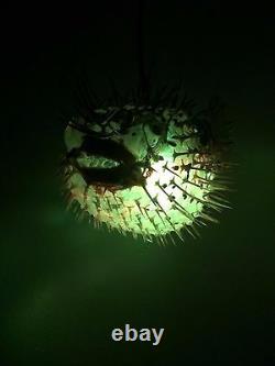 NEW 18! Puffer Fish Lamp withcolor changing LED Light Tiki bar Smokin Tikis fx