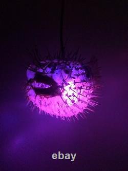 NEW 18! Puffer Fish Lamp withcolor changing LED Light Tiki bar Smokin Tikis fx