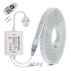 RGB LED Strip 220V 5050 60&120LED/M Waterproof Tape Lights Rope +Plug Controller