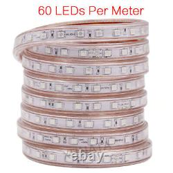 Bandes lumineuses à LED 220V 240V dimmables 5050 RGB Lampe Flex Cordes Lumineuses Changement de Couleur