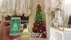 Pack de démarrage de lumières de Noël scintillantes 250L 5MM MATT + CLEAR FLAT RGB, ESPACEMENT DE LAMPE DE 8CM