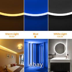 Ruban LED flexible néon Flex Rope Light étanche 220V éclairage extérieur flexible de 1 à 25m