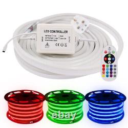 Traduction en français : Ruban LED Dimmable, Lumière néon en corde étanche flexible 220V, Décoration commerciale extérieure